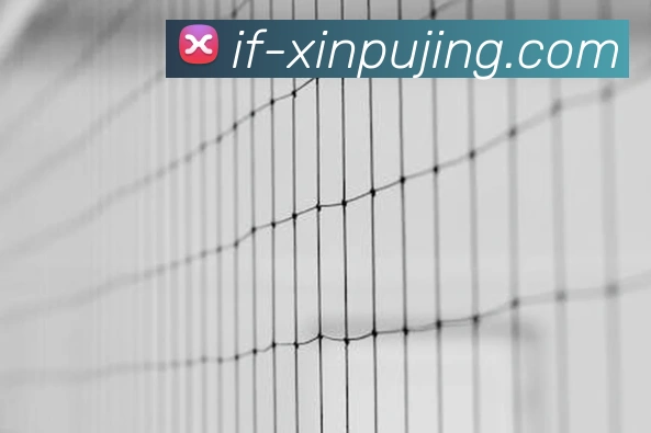 澳门新葡京娱乐品牌故事